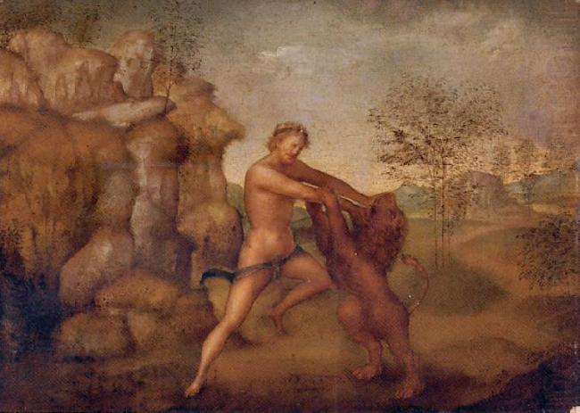 unknow artist Hercules and the Nemean Lion, oil on panel painting attributed to Jacopo Torni oil painting picture